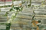 Polished Chow-Ma-How-Me Brecciated Jasper Slab - Oregon #336256-1